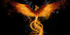 Feuerschwinge-Saga's avatar