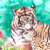Feyraline :iconfeyraline: