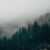 Feyskiia :iconfeyskiia: