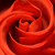 fgn :iconfgn: