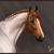 Fire-Rebel :iconfire-rebel: