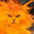 firecat88 :iconfirecat88: