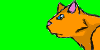 FireClan-Cats's avatar