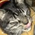 fizzupop :iconfizzupop:
