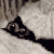 Flaccoid :iconflaccoid: