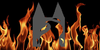 FlameclanCats's avatar