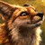 flamefox699 :iconflamefox699:
