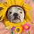 FlaviusDehe :iconflaviusdehe: