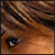 DeviantArt profile picture for @flora on DeviantArt