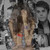 FlorchuuGomezBieber :iconflorchuugomezbieber: