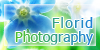 :iconflorid-photography: