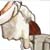 floutymushroomthingy :iconfloutymushroomthingy: