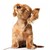 fluffypuff66 :iconfluffypuff66: