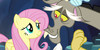 :iconfluttercordmlp: