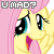 :iconfluttershyumadplz: