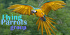 FlyingParrots's avatar