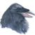 FlyWight :iconflywight: