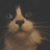 DeviantArt profile picture for @Folly on DeviantArt