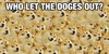:iconfor-the-love-of-doge: