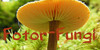 Fotor-Fungi's avatar
