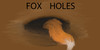 :iconfox-holes: