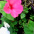 FoxRunnerPhotography :iconfoxrunnerphotography: