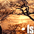 fractalsentry :iconfractalsentry: