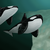 FracturedHearts :iconfracturedhearts: