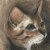DeviantArt profile picture for @Franc on DeviantArt