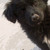 FRANKO-12 :iconfranko-12: