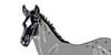 free-horse-adopts's avatar