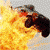 Frega :iconfrega: