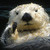 Freyjland :iconfreyjland: