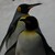 froz33 :iconfroz33: