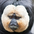 Fruffers :iconfruffers: