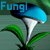 DeviantArt profile picture for @fungi on DeviantArt