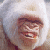 :iconfurg: