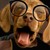 FurrBriefSEXYTimes :iconfurrbriefsexytimes: