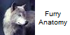 Furry-Anatomy's avatar