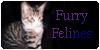 FurryFelines's avatar