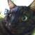 FutureCharlie :iconfuturecharlie: