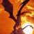 fyredragon :iconfyredragon: