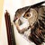 GabrielleC-Drawings :icongabriellec-drawings: