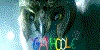 GaHoolians-Unite's avatar