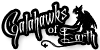Galahawks-of-Earth's avatar