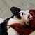 :icongalaktikmermaid: