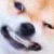 corpse party seiko butter corpse party seiko butter