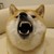 GalaxyDoggoPaws :icongalaxydoggopaws: