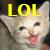 gally66 :icongally66:
