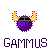 Gammusbert :icongammusbert: